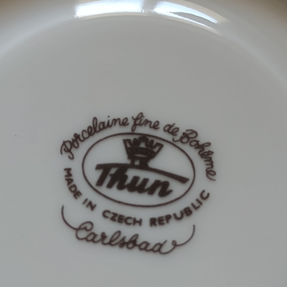 Vintage Carlsbad Boheme Thun Czech fine porcelain cup + saucer floral painted - Picture 9 of 10